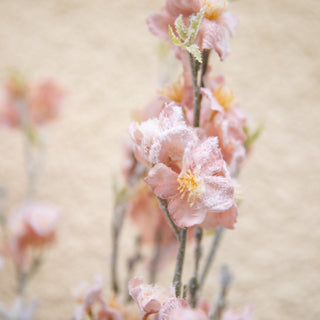 Artificial Flower Winter Cherry Blossom Pink