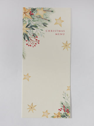 Christmas Menu Cards (Sets of 10)