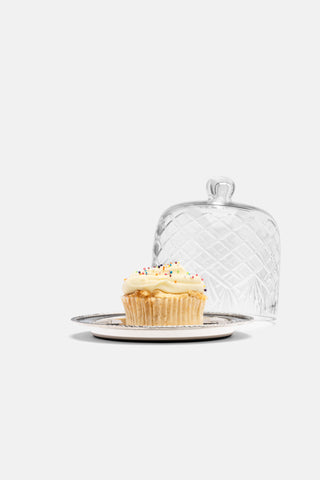 Palm Cloche Server- Mini