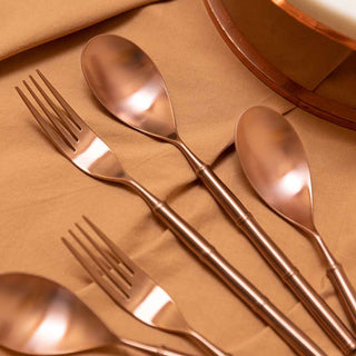 Silver Ring Cutlery (2 pc set)