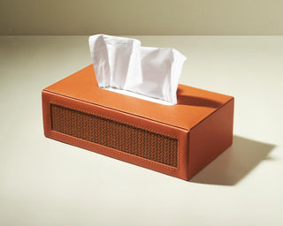 The Terra Tissue box